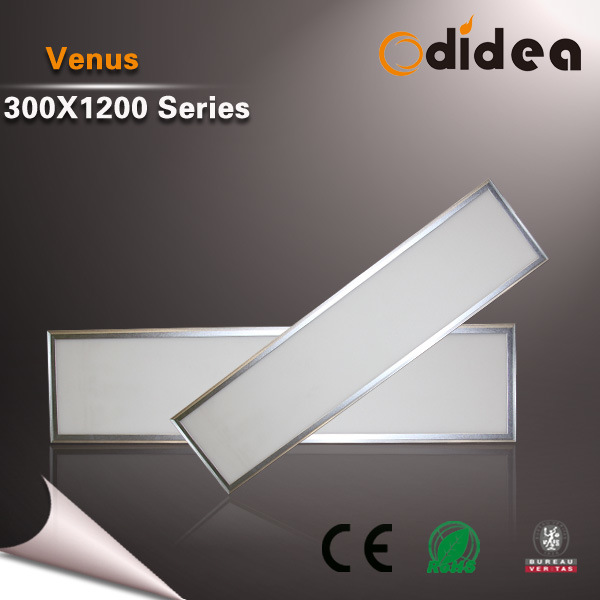 36W 48W 300X1200mm LED Panel Light Shenzhen Factory Czpl48006