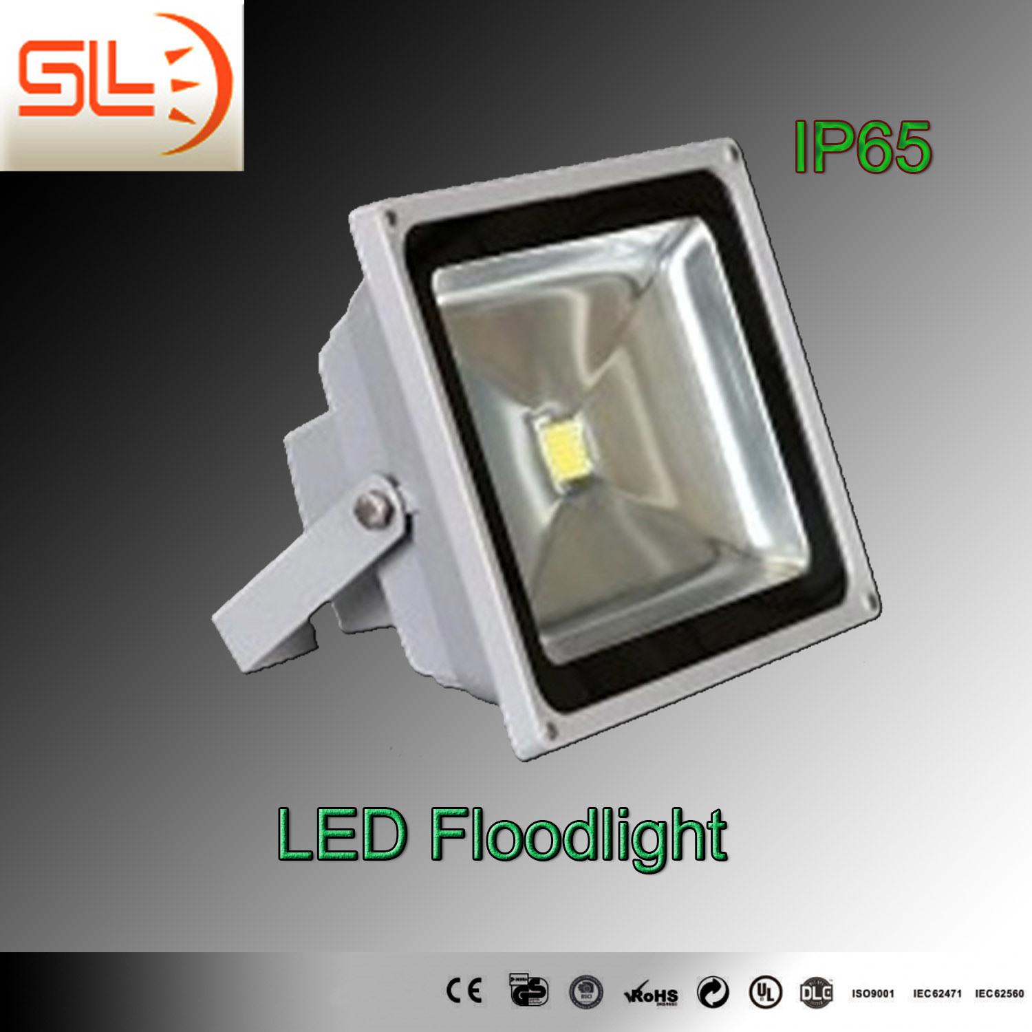 2015 IP65 50W LED Flood Light with CE