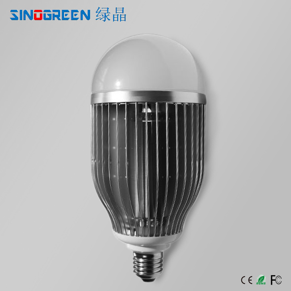 LED Light Bulb Light (LJ-QPD-015-20W)