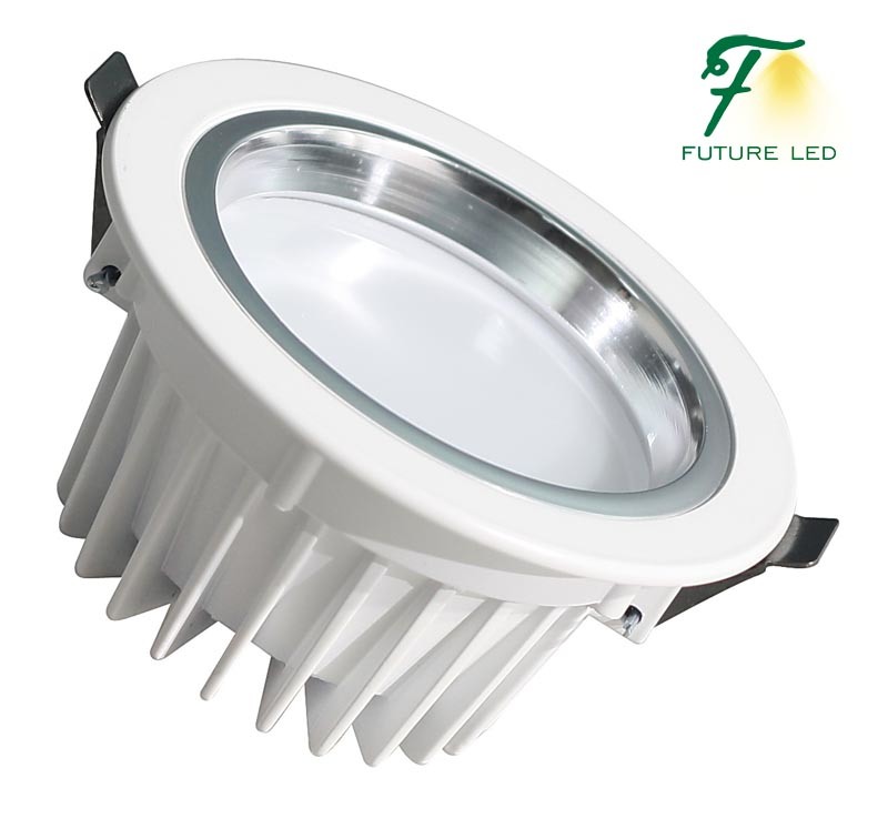 2.5 Inch 3W SMD LED Down Light