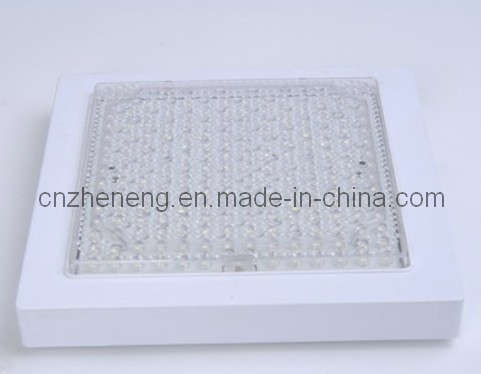 LED Ceiling Light, LED Wall Light 10W (ZYXD215)