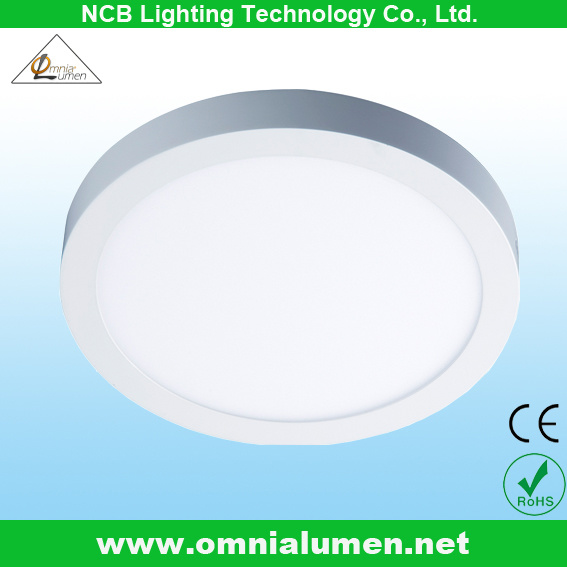 Surface Round Panel LED Ceiling Light 24W