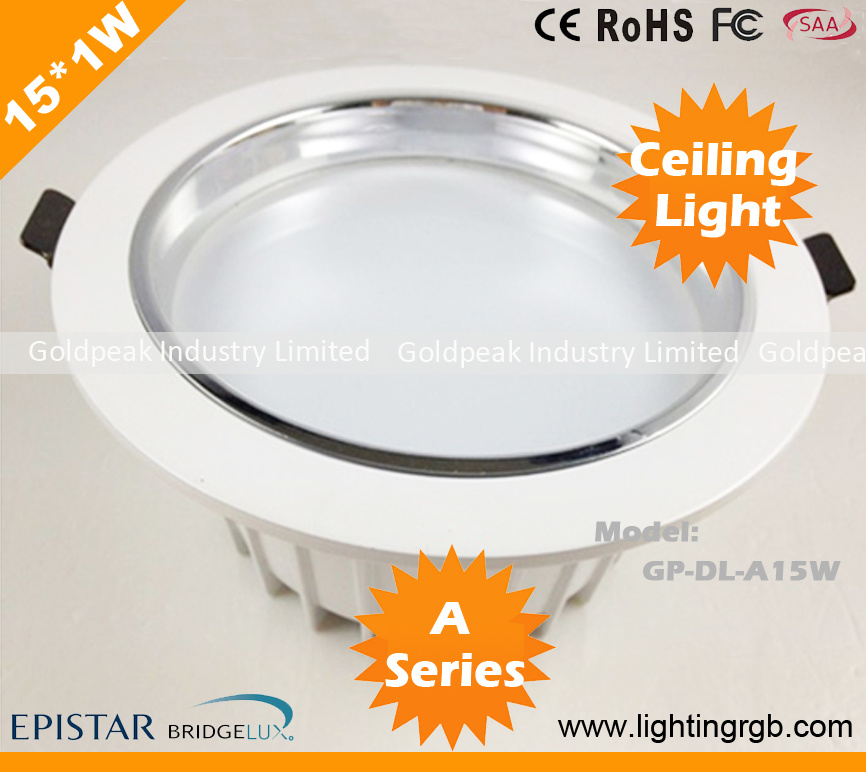 High Power 15W LED Ceiling Light/ LED Ceiling Lamp/ LED Down Light