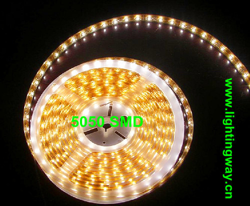 3528 SMD Waterproof LED Strip Light