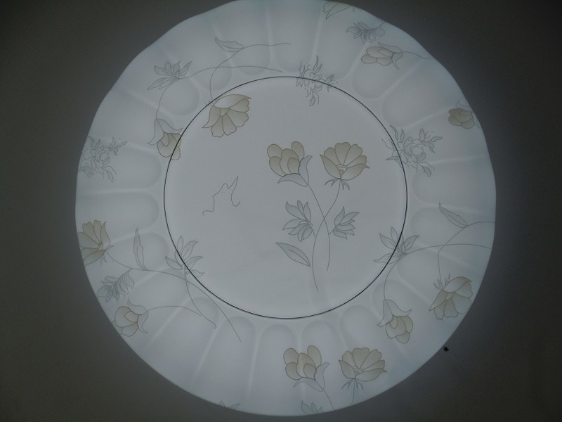 Round Surface Mounted LED Ceiling Light