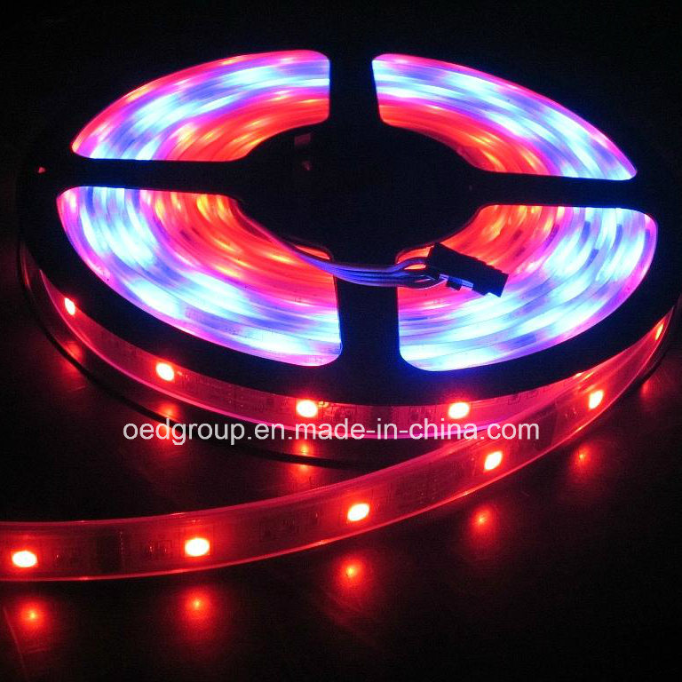 Grb LED Flexible Strip Light with Ws2811 IC Driver