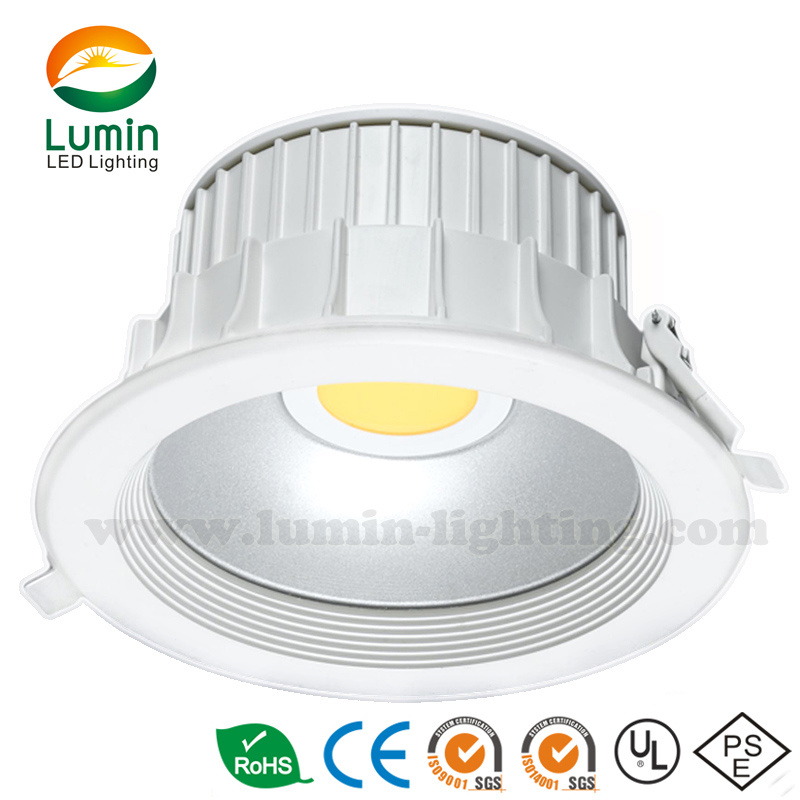 New Style LED Down Light 10-35W (LM-DO135-8)