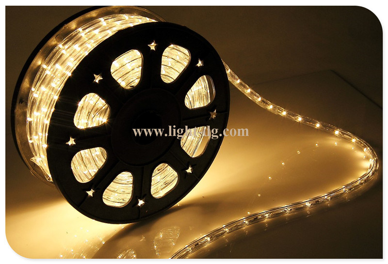 2013 Wholesale Outdoor LED Rope Light