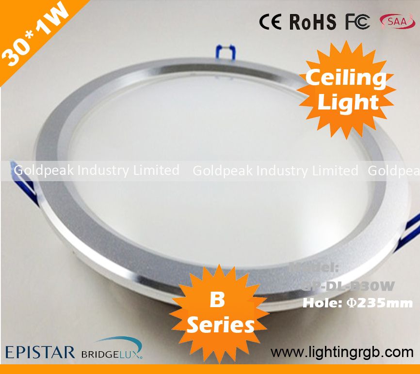 30W LED Ceiling Light/ LED Ceiling Lamp/ LED Down Light