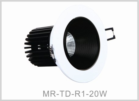 20W LED Down Light LED Ceiling Light (MR-TD-R1)
