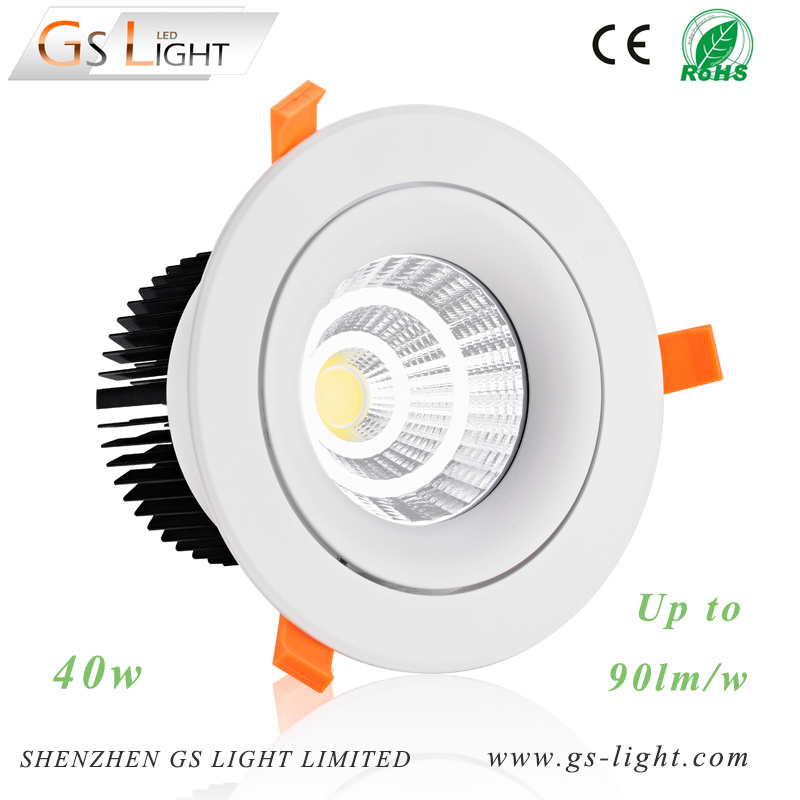 40W COB LED Down Light with Ies File