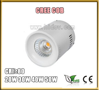 20W COB Surface Mounted LED Down Light