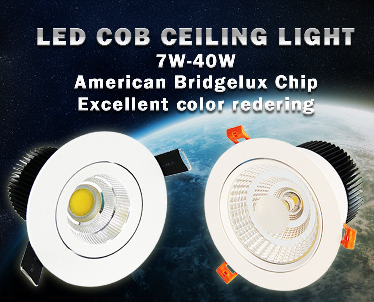 Samsung CREE Chip 4W COB LED Down Light/LED Ceiling (QD19-P04W-A1)