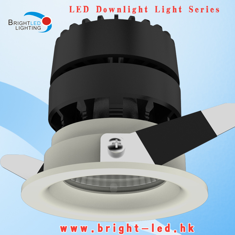 Hot New Indoor LED Down Light