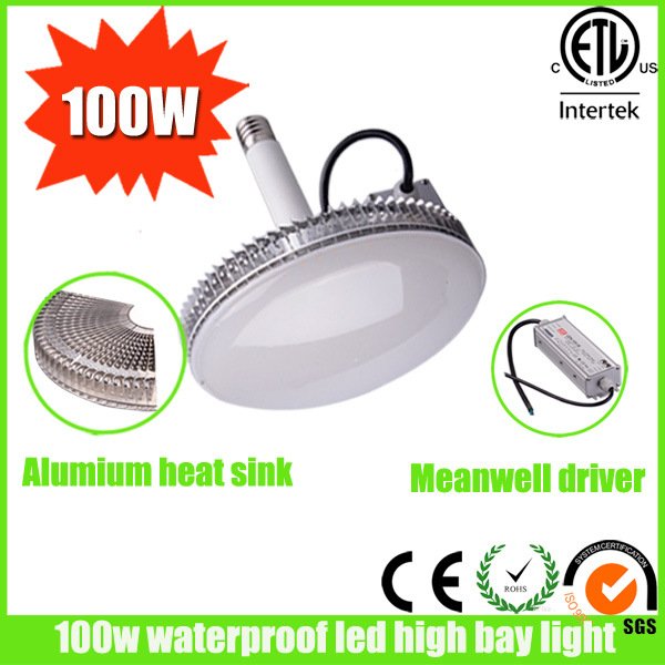 100W Waterproof LED High Bay Light (BB-YPD-100W)