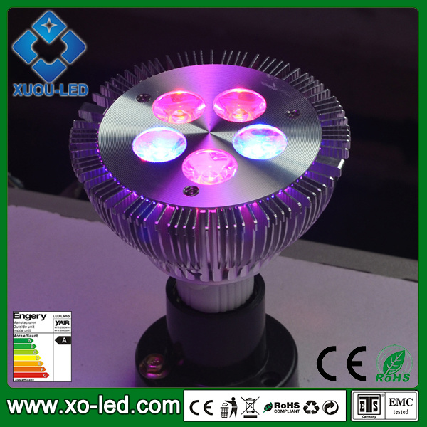 5W Hydroponic LED Grow Light 120lm LED