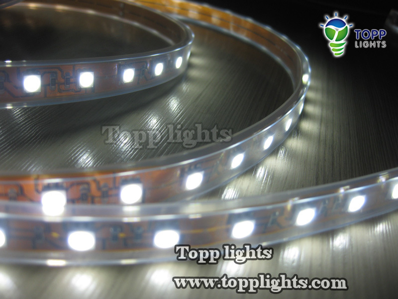 60/30LEDs LED Strip Light (TP-5050-60-W)