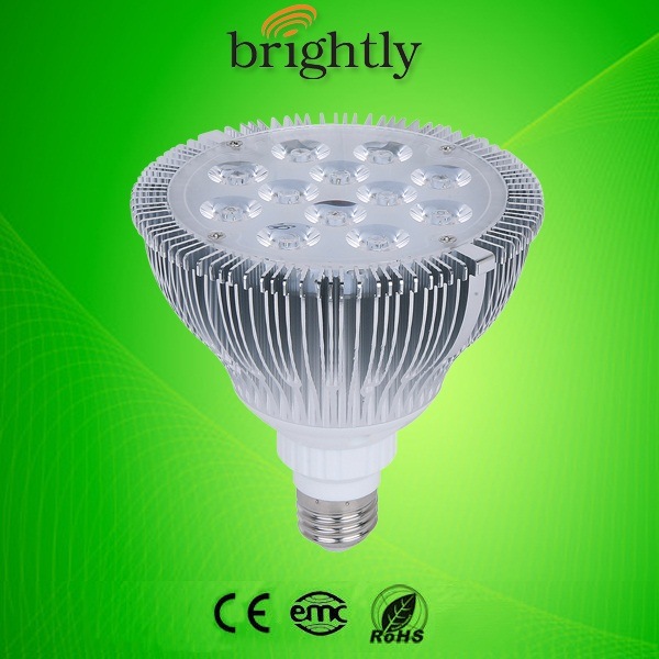PAR38 Lamp 15W 1100lm LED Spotlight