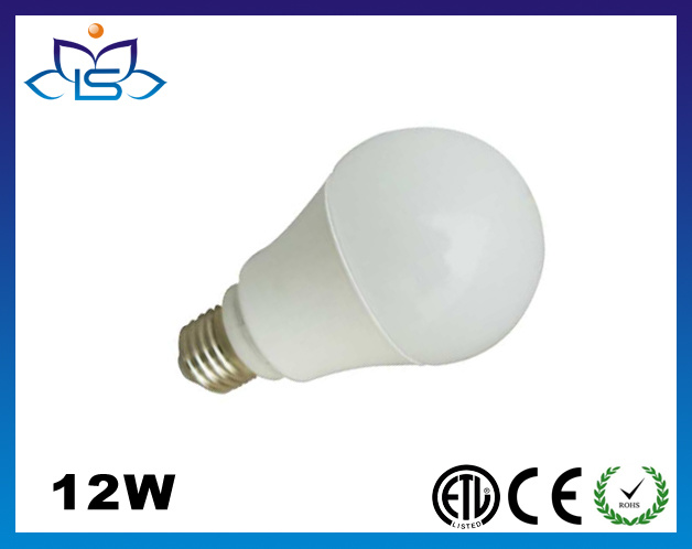 12W LED Light LED Bulb Light with CE RoHS