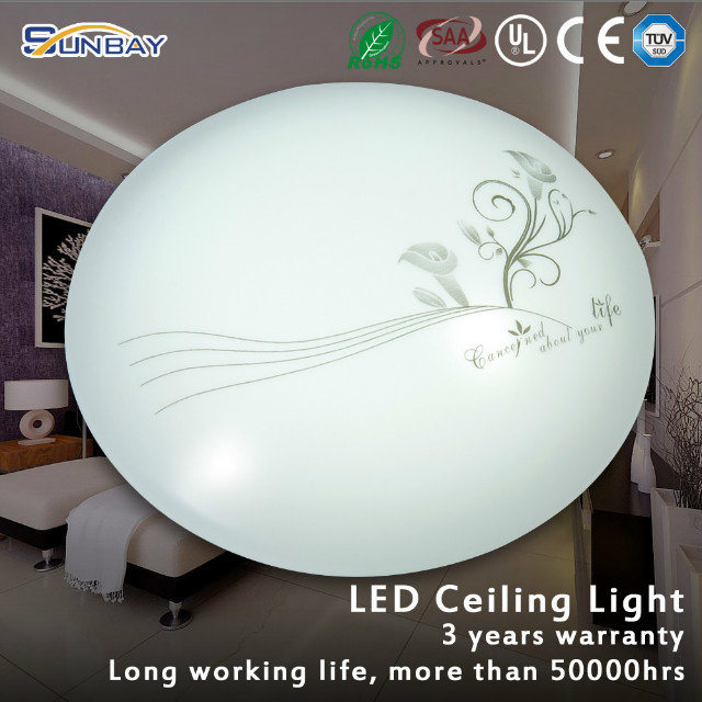 Decorative LED Ceiling Light with 3 Years Warranty (XD09-P24W-A1)
