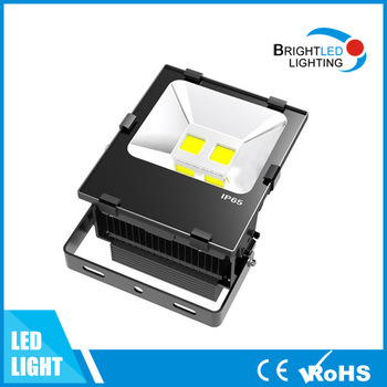 CE, RoHS Outdoor Fitting 100W LED Flood Light