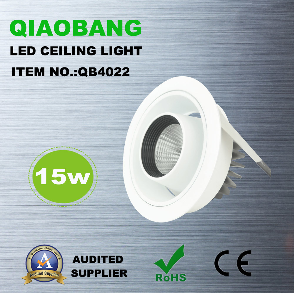 The Newest LED COB Lamp Energy Saving LED LED Ceiling Light with 15W (QB4022)