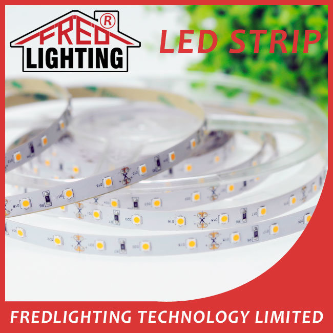 5050 300LEDs IP65 Waterproof LED Tape Flexible Strip Light