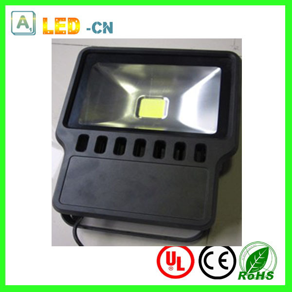 Meanwell Driver 100W Outdoor LED Flood Lights