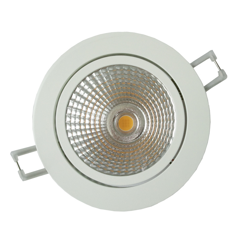 30W COB LED Ceiling Light (HCL-30W)
