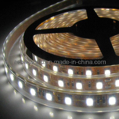 5050 5050 LED Flex Strip Light---60LEDs/M 12V White 5m/Reel Favourable (DL-5050W60C-12V)