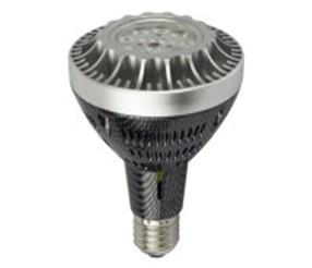25W LED P30 COB LED Spot Light LED Bulb