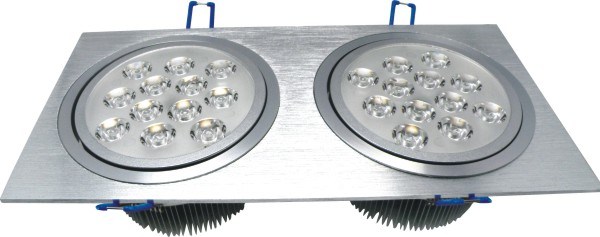 LED Ceiling Light (XLC-24)