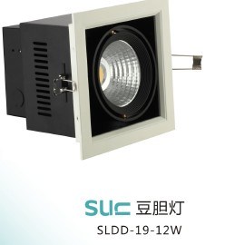 LED Ceiling Light (SLDD-19-12W)
