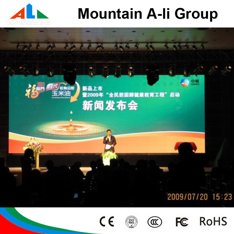 P10 Indoor Full Color Advertising LED Display (LED Screen, LED Sign)