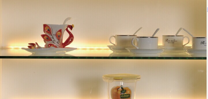 LED Cabinet Shelf Light (HJ-LED-004)