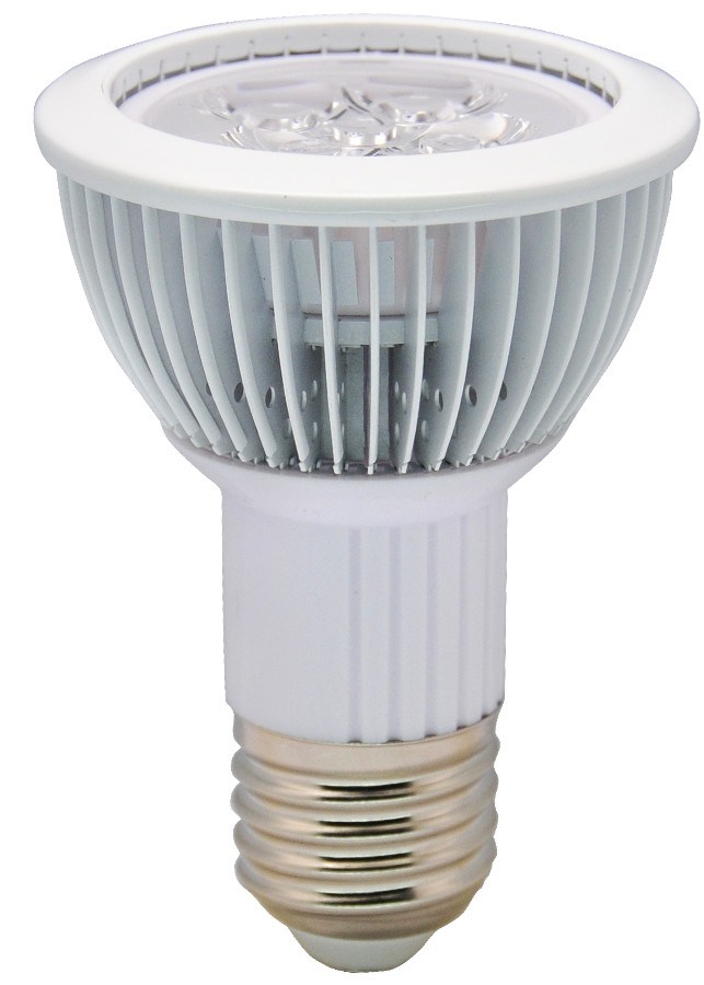 LED PAR Light (XLP-L5PAR30)
