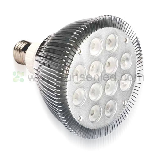 12W High Power LED PAR38 Light Bulb