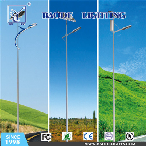 Customized Module 60/100W Solar LED Street Light (BDTYN60)