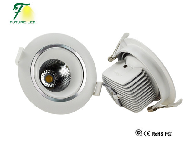 2015 Future 10W Round LED Downlight with CE RoHS