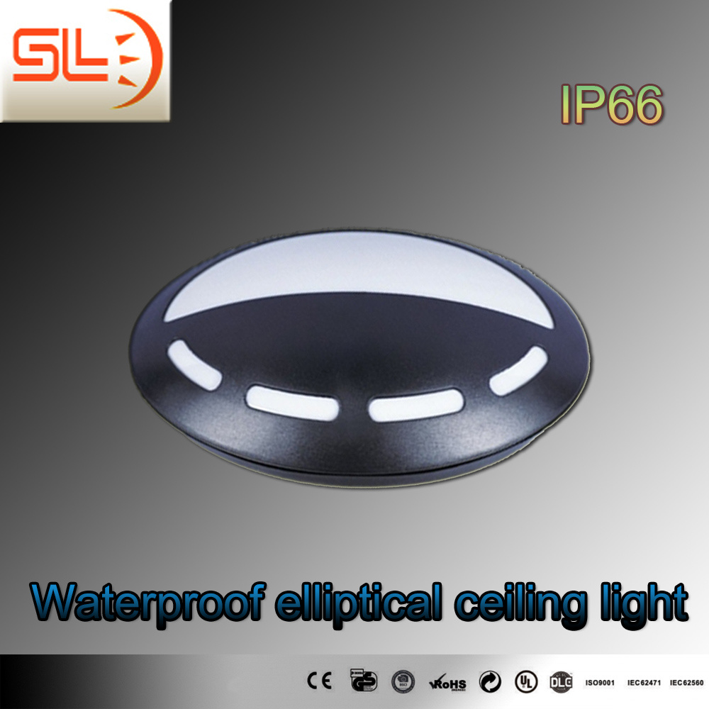 White and Black IP65 LED Ceiling Light with CE