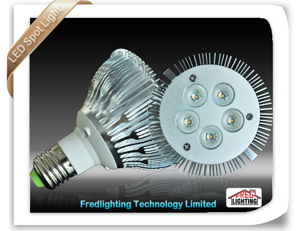 LED Spot Lights/Light Bulb (FD-P30W5X1V-D)
