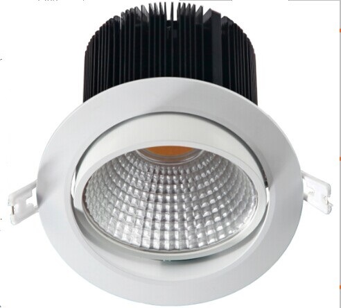 15W Indoor Ceiling Spotlight with COB LED Chip