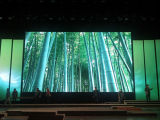 P10 Indoor Full Color LED Video Wall/LED Advertising Display
