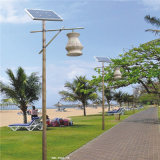 4.5m Solar Energy Light (DXSL-098)
