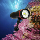 Archon W40V/D34V Hotsale Subsea Torch / Underwater Diving Video Light / Diving Flashlight / Professional Poto-Video Flashlight / Underwater Photographing Light