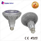 China Manufacturer 100-240V LED PAR38