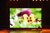 P5 Indoor Full Color LED Display/Full-Color LED Display