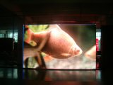 Full Color Indoor LED Display with Die Cast Cabinet