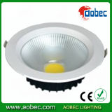 COB LED Down Light 30W