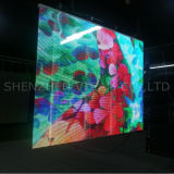Display Panel Video Rental LED Display for Outdoor (P12/20mm)